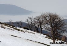 گزارش تصویری  از اولین برف جنگل ابر